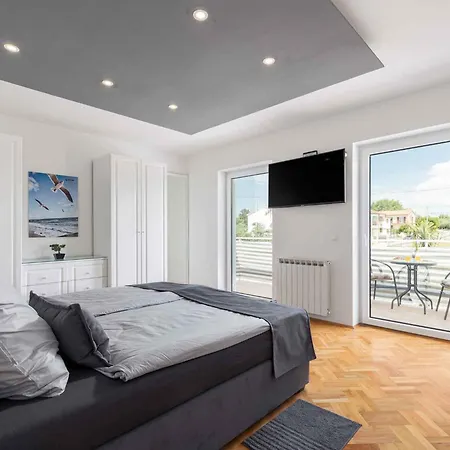 Anela 43259 פורץ